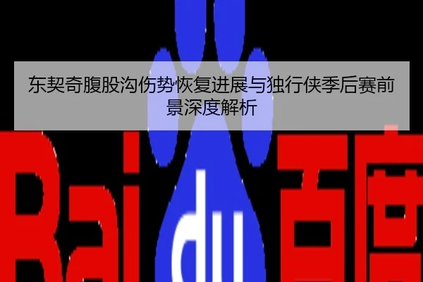 东契奇腹股沟伤势恢复进展与独行侠季后赛前景深度解析